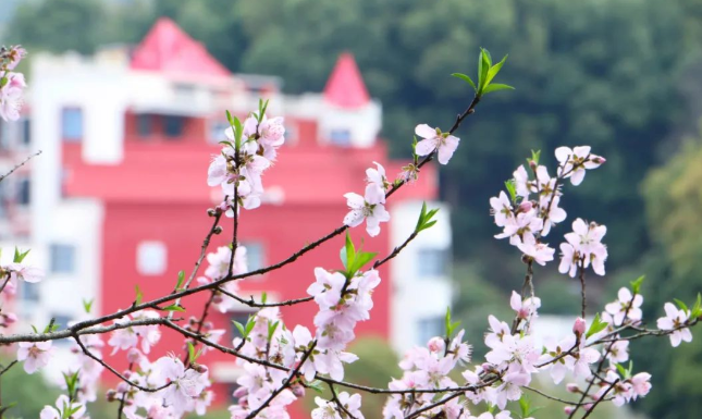 红领巾点亮天行，学雷锋温暖三月